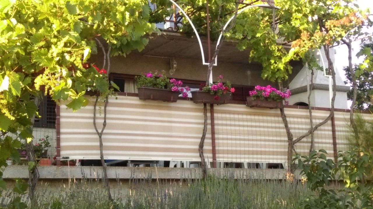 Apartment Kriskovic Novi Vinodolski Exteriör bild